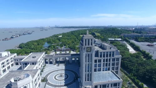 數(shù)字賦能，志愿同行 上海市紅色文化傳播志愿服務(wù)聯(lián)盟在寶山啟航